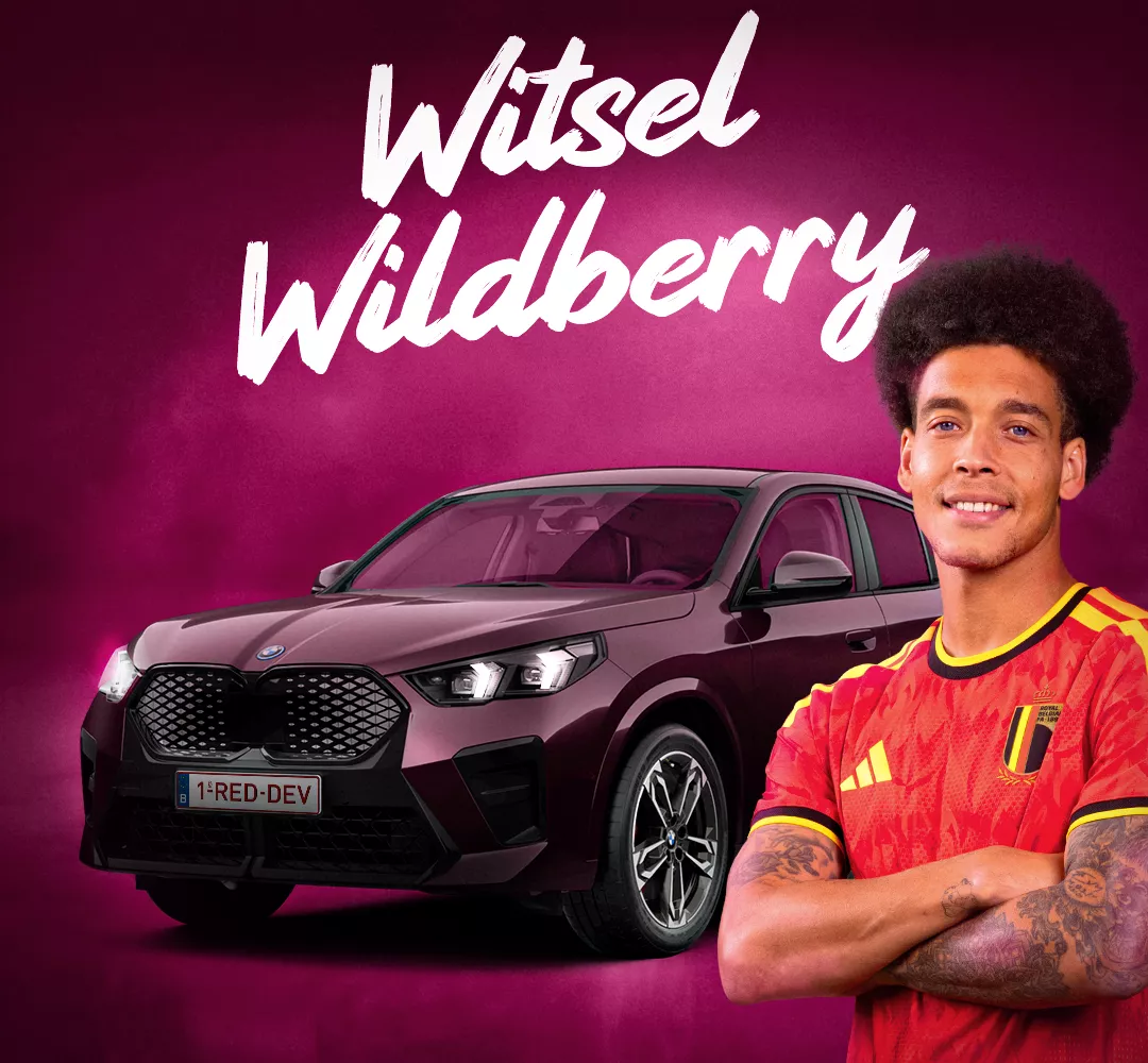 Witsel Wildberry