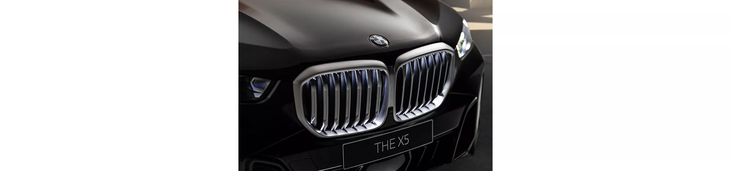 璀璨飾光 領袖氣場