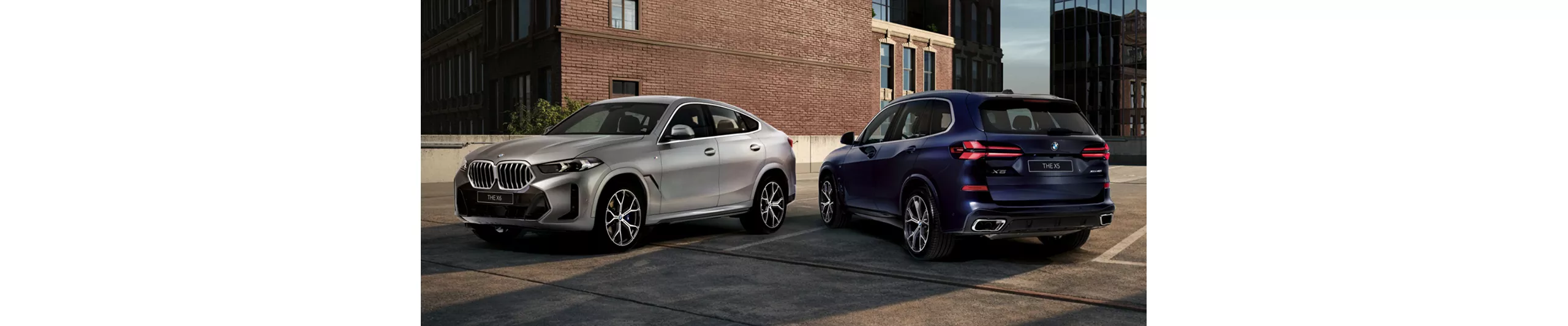 全新BMW X5與X6鉑金版