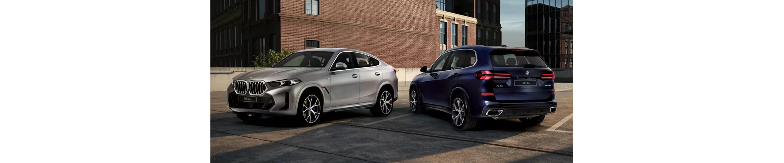 全新BMW X5與X6鉑金版