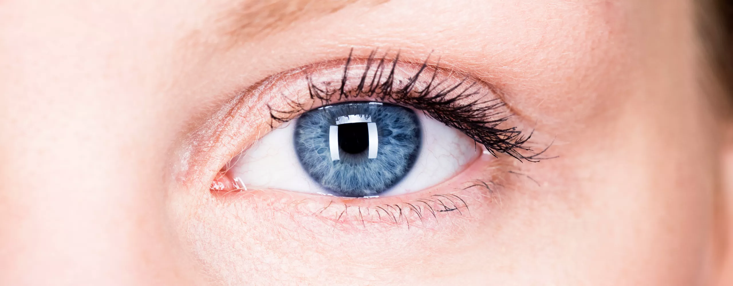 Nahaufnahme eines blauen Auges 