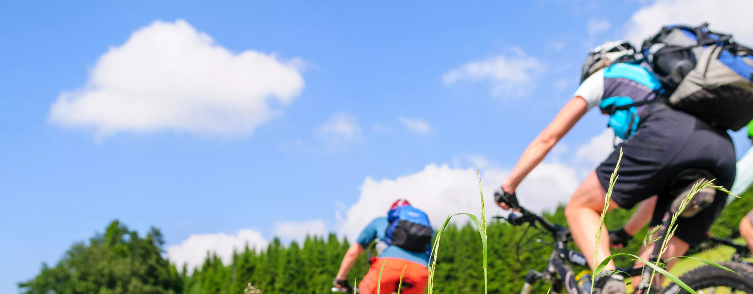 Radfahrer fahren durch eine bunte Wiese