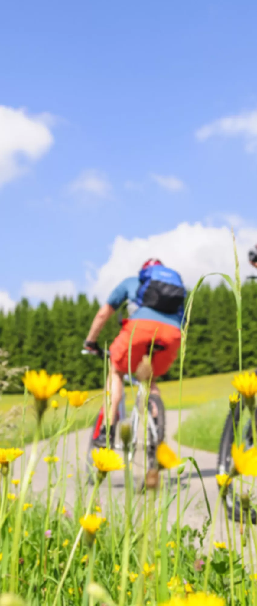 Personen fahren Fahrrad zwischen Wiesen
