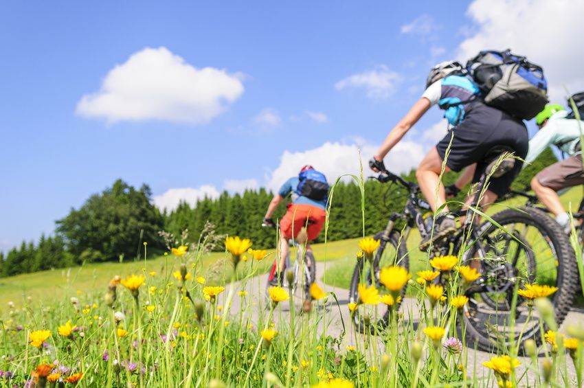 Personen fahren Fahrrad zwischen Wiesen