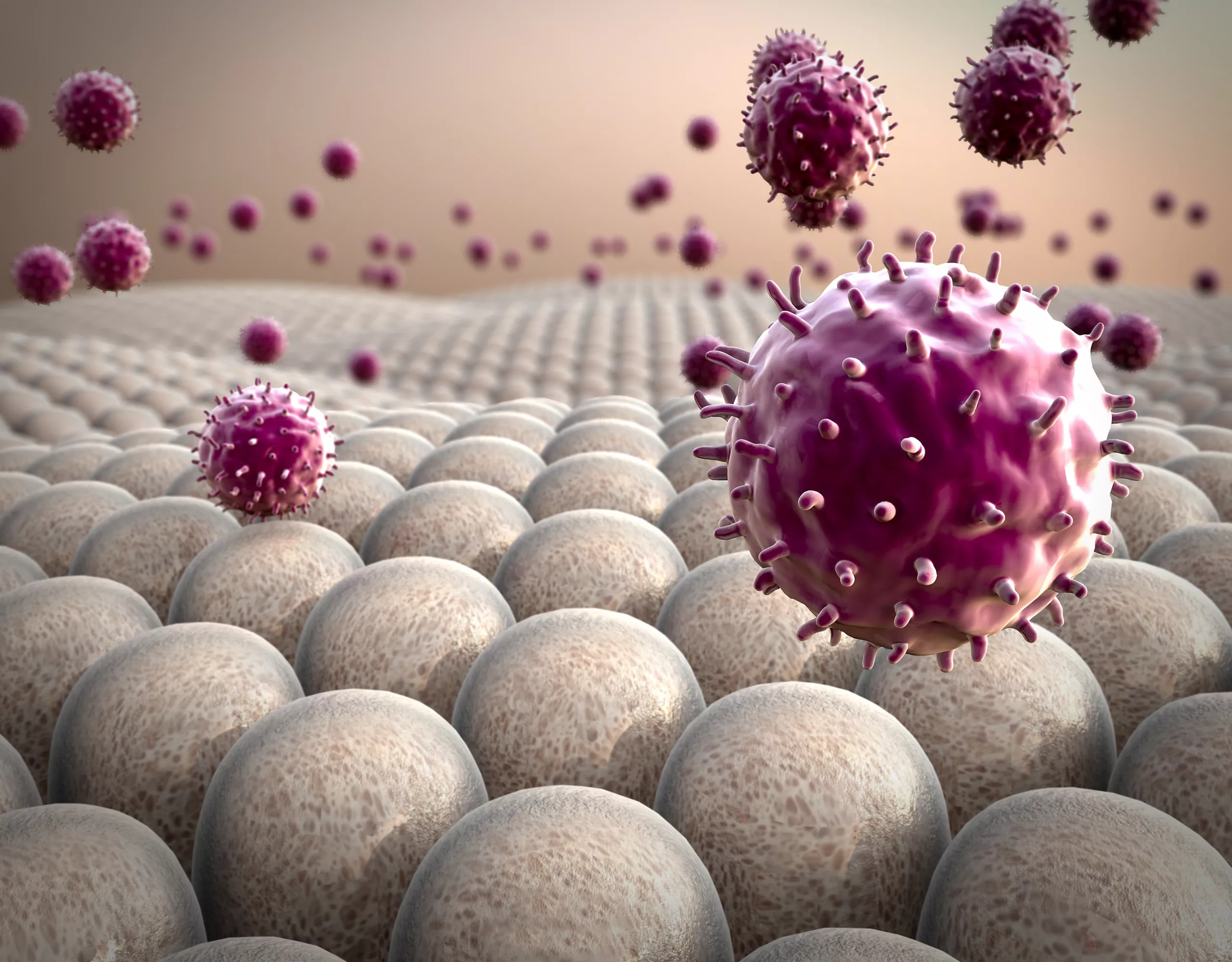 Illustration von einem Immunsystem