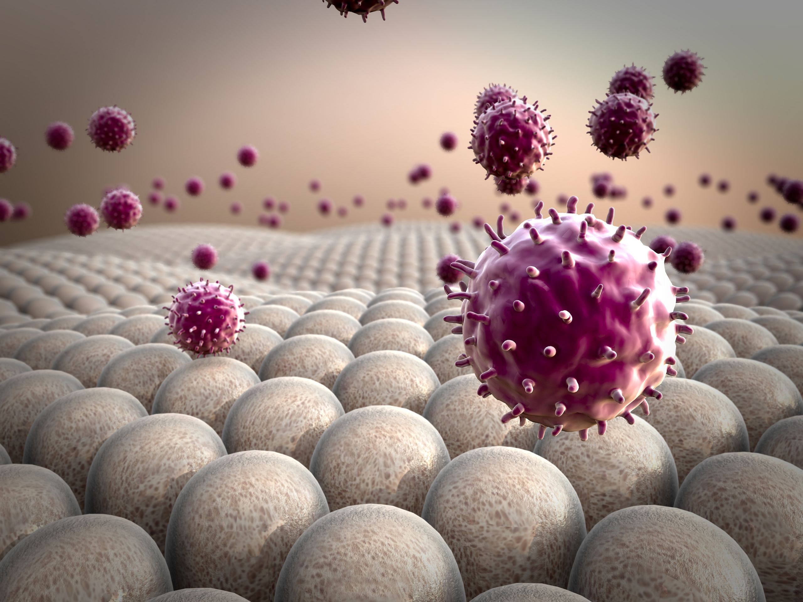 Illustration von einem Immunsystem