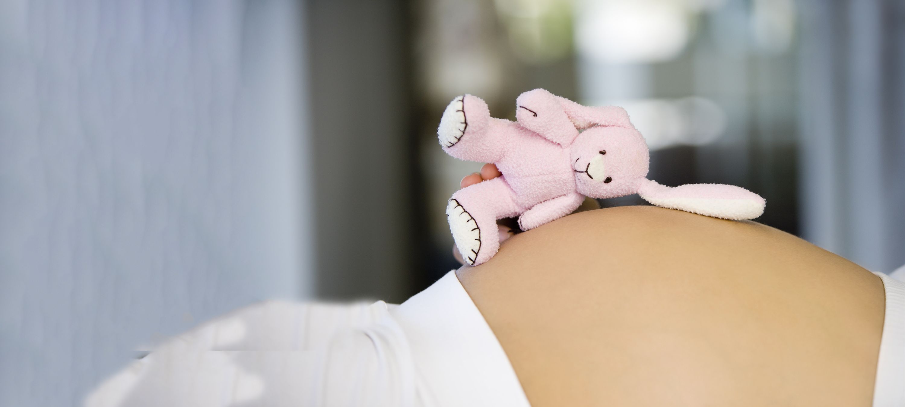 Schwangere Frau hat Kuschelhasen auf dem Bauch