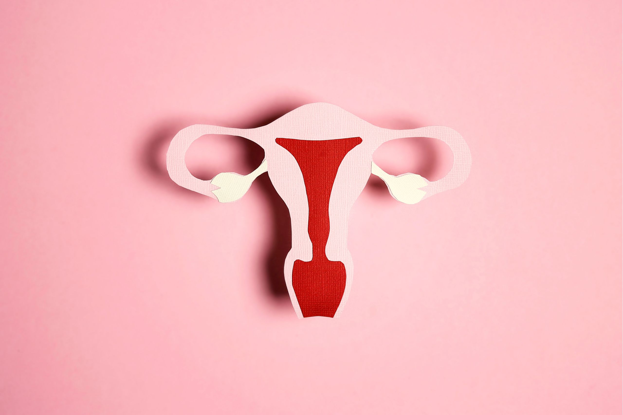 Symbol von Gebärmutter 