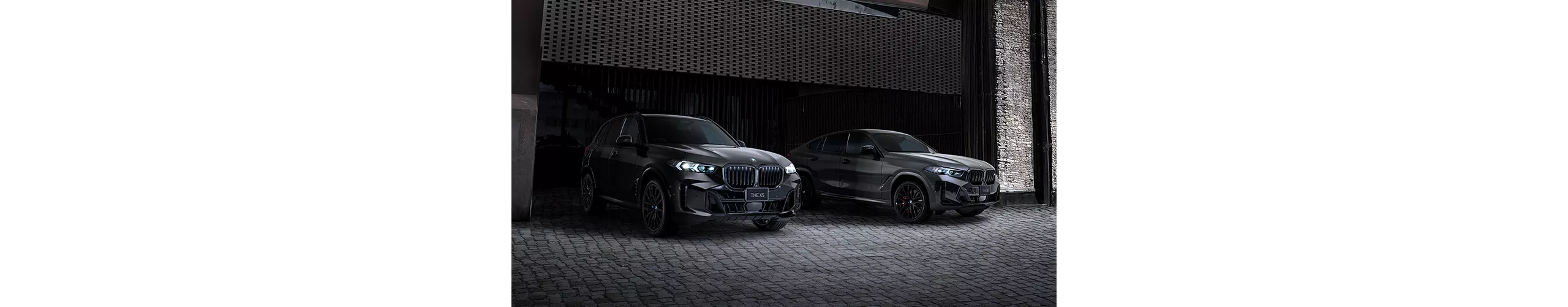 BMW X5 / X6 Edition Shadow