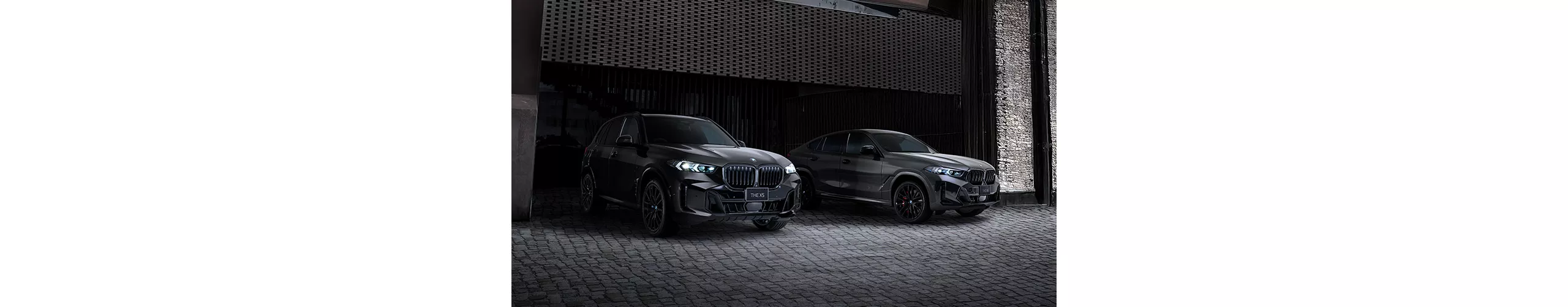 BMW X5 / X6 Edition Shadow