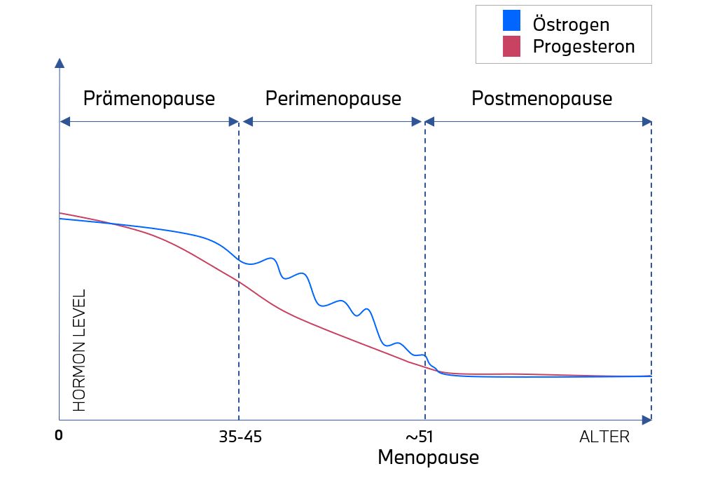 Grafische Darstellung des Verlaufs der Menopause