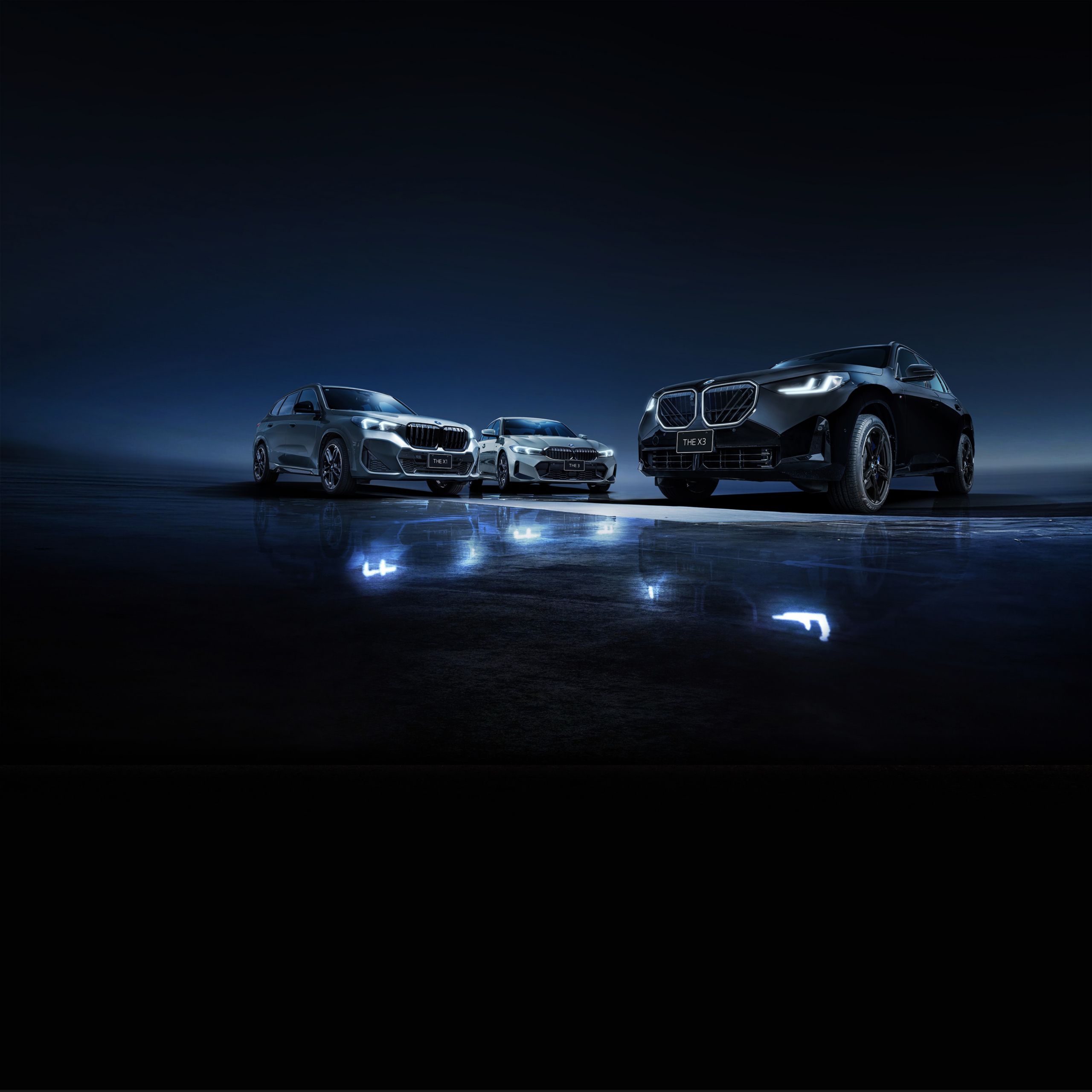 BMW X1 / X3 / 3シリーズ Edition Shadow