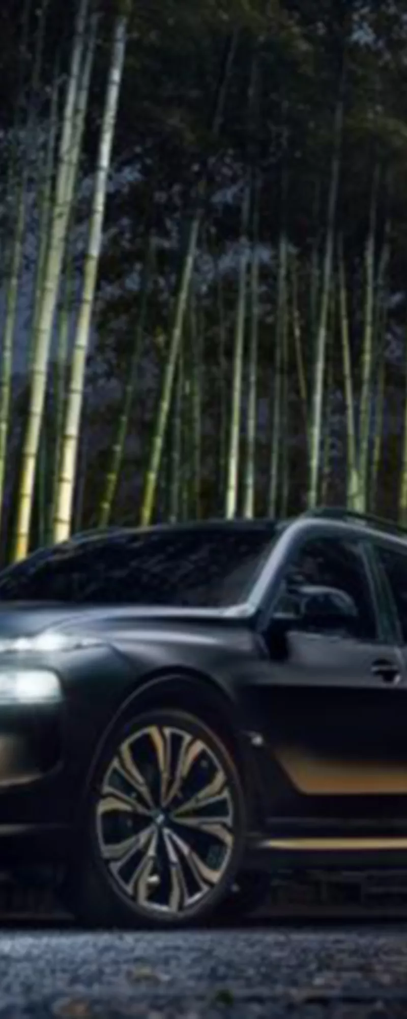 BMW iX M70 xDrive The First Edition