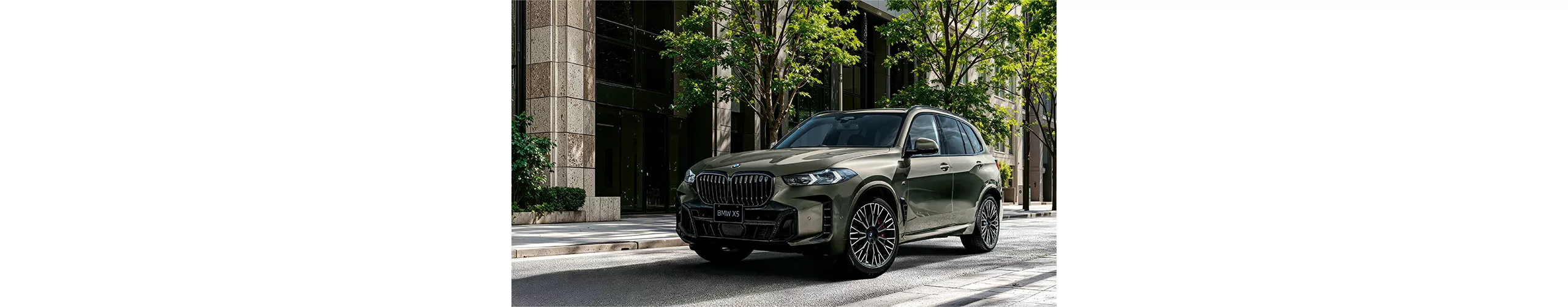 BMW X5 FINAL EDITION