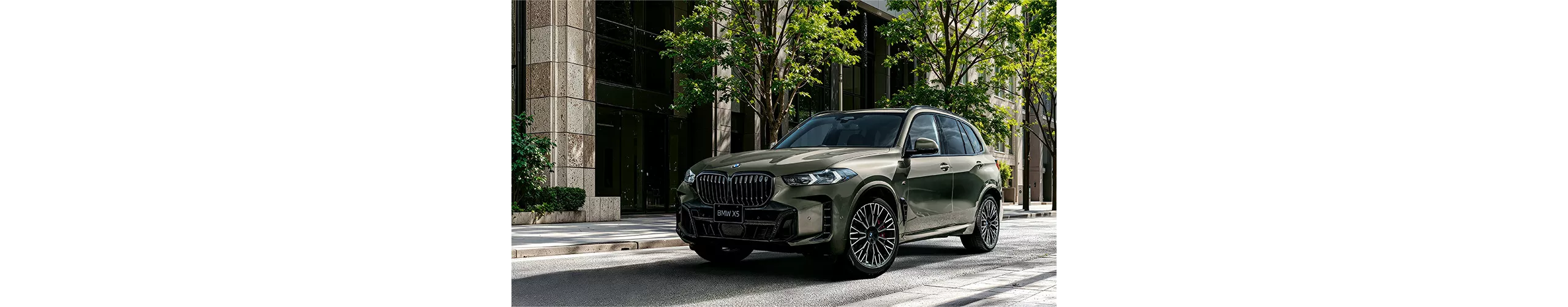 BMW X5 FINAL EDITION