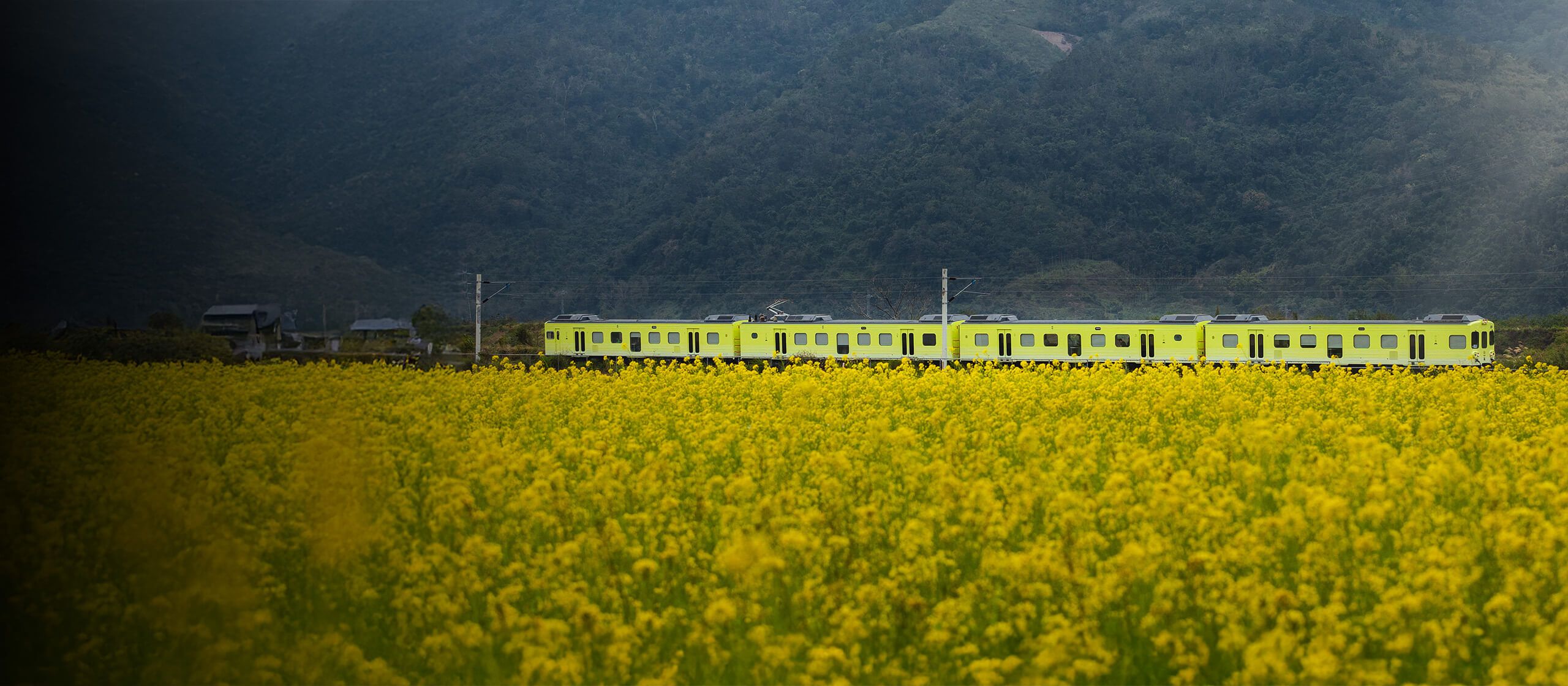 「空」嵐浮饗：山海之上的感官巡禮