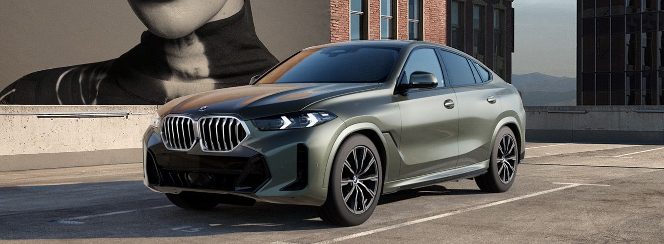 全新BMW X6