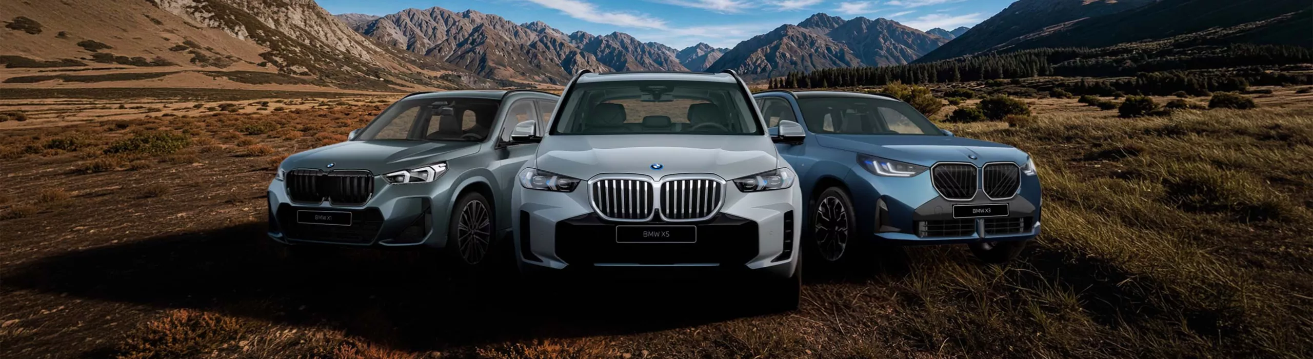 BMW X