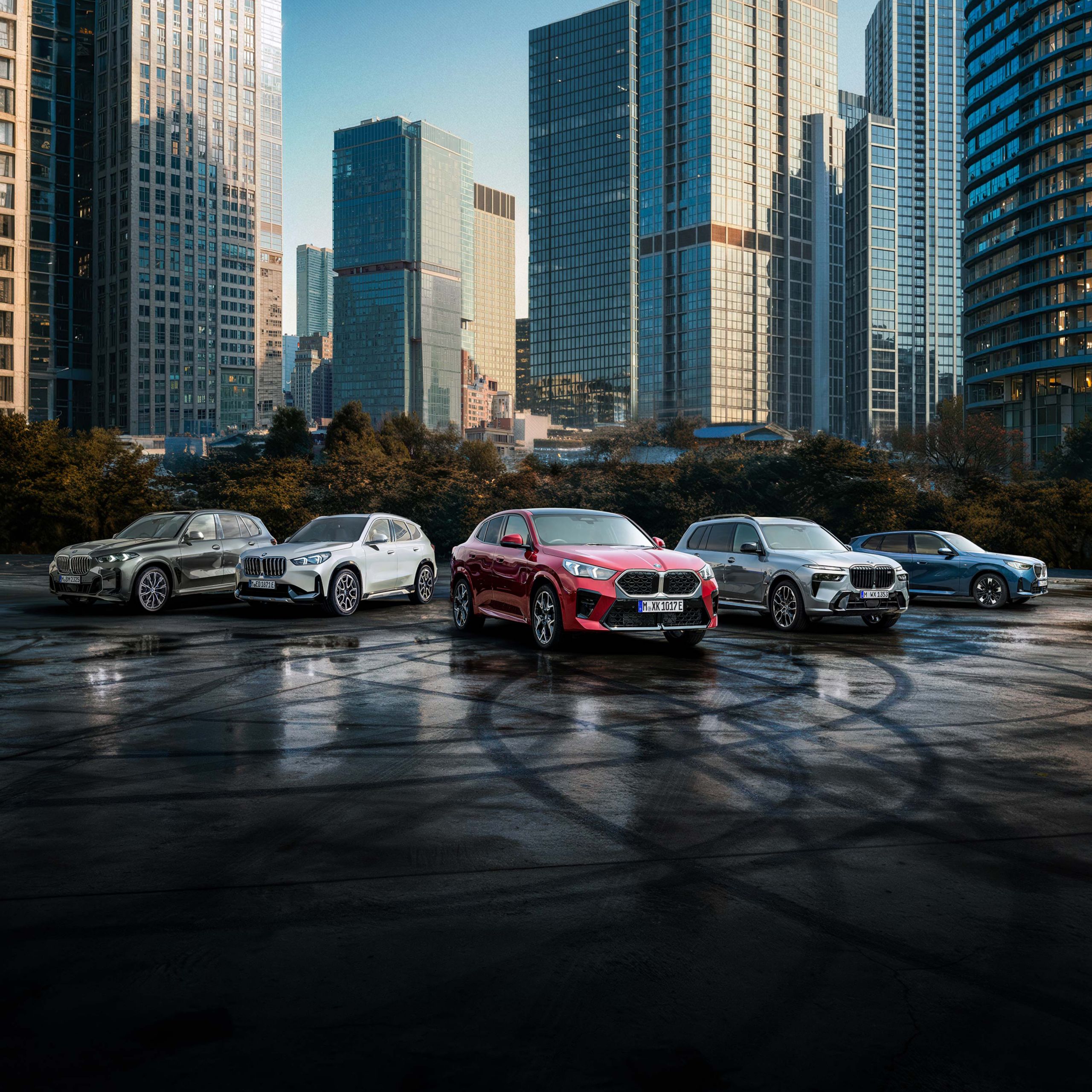 THE 3 50th Anniversary Limited