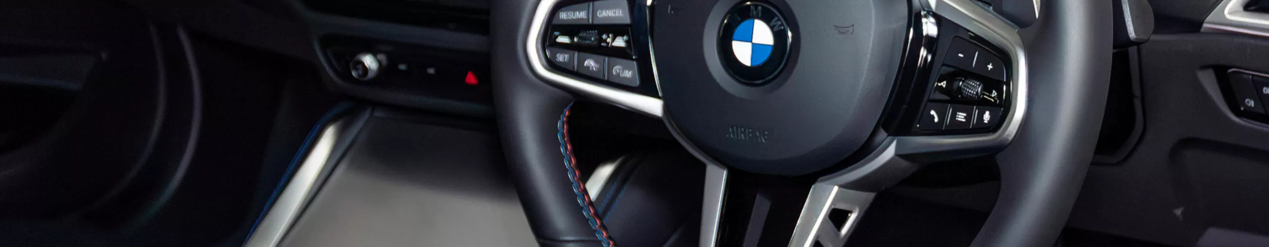 Iconic Kidney grille