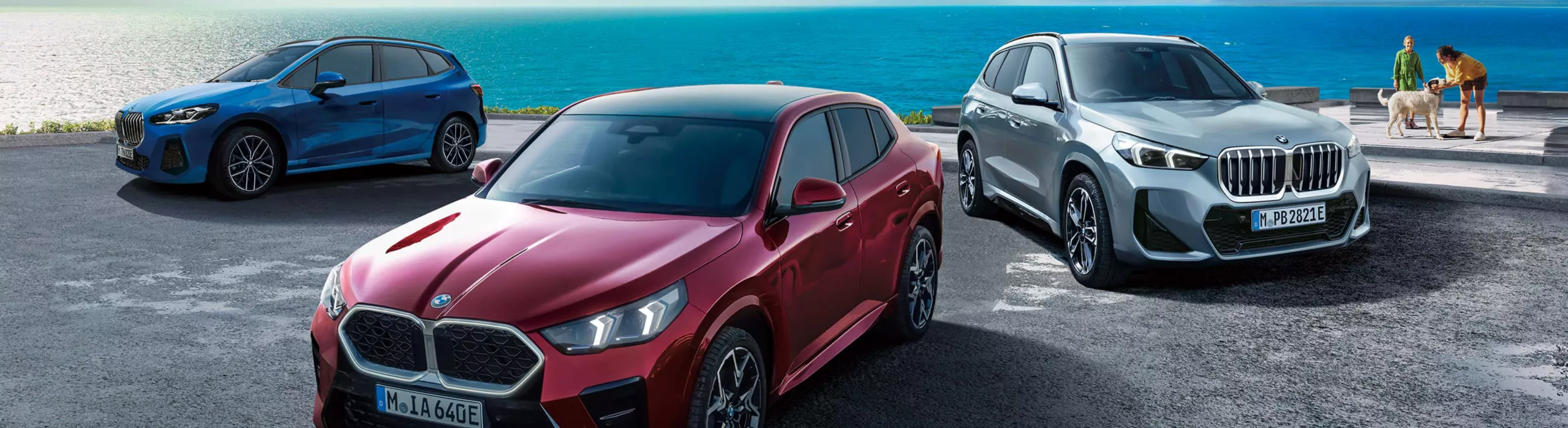 THE 3 50th Anniversary Limited