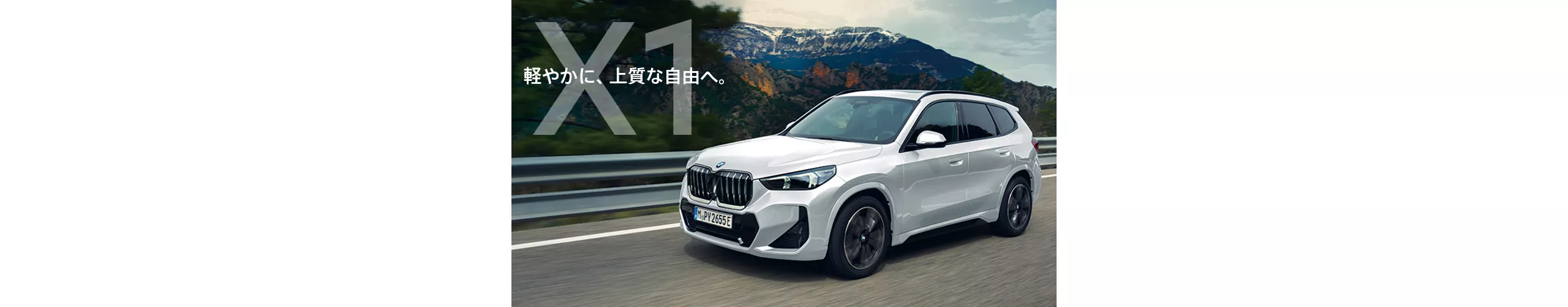  BMW ALL IN.