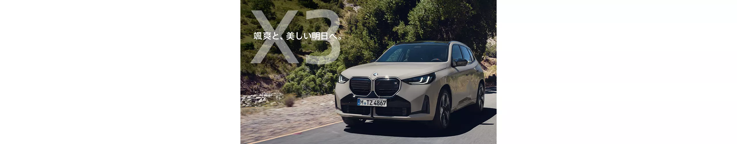  BMW ALL IN.