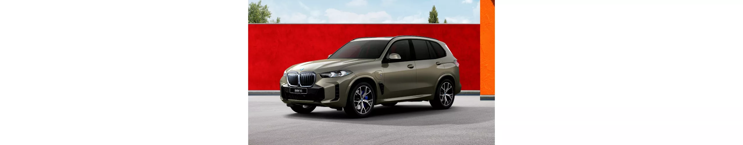    X5​ xDrive50e M Sport