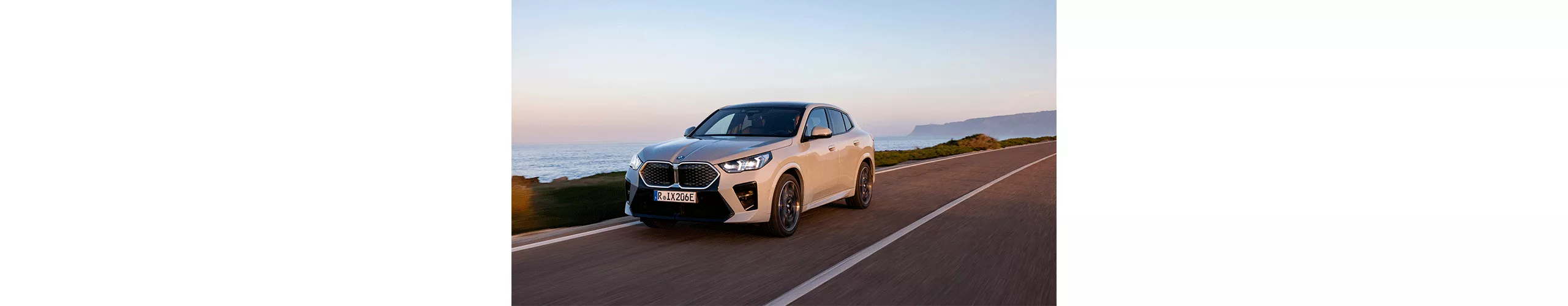 BMW iX2