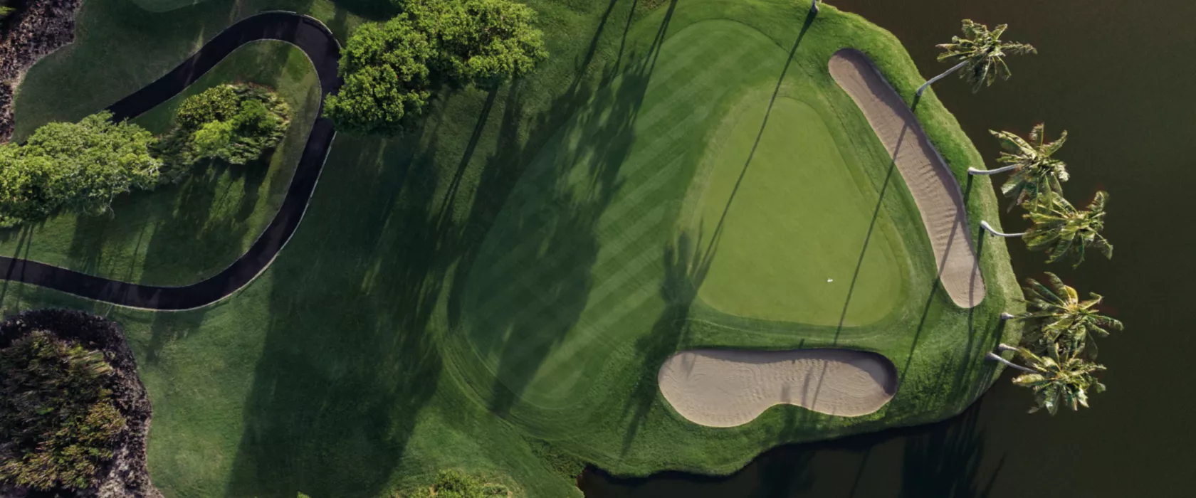 The BMW Golf Cup International.