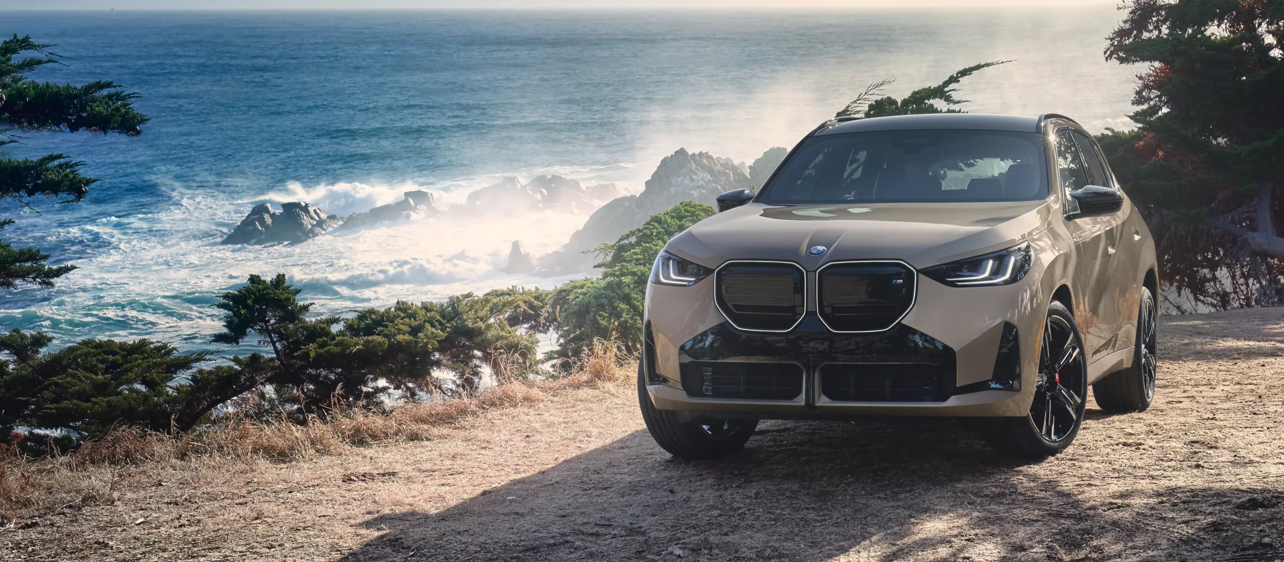 2026 BMW X3 Front View