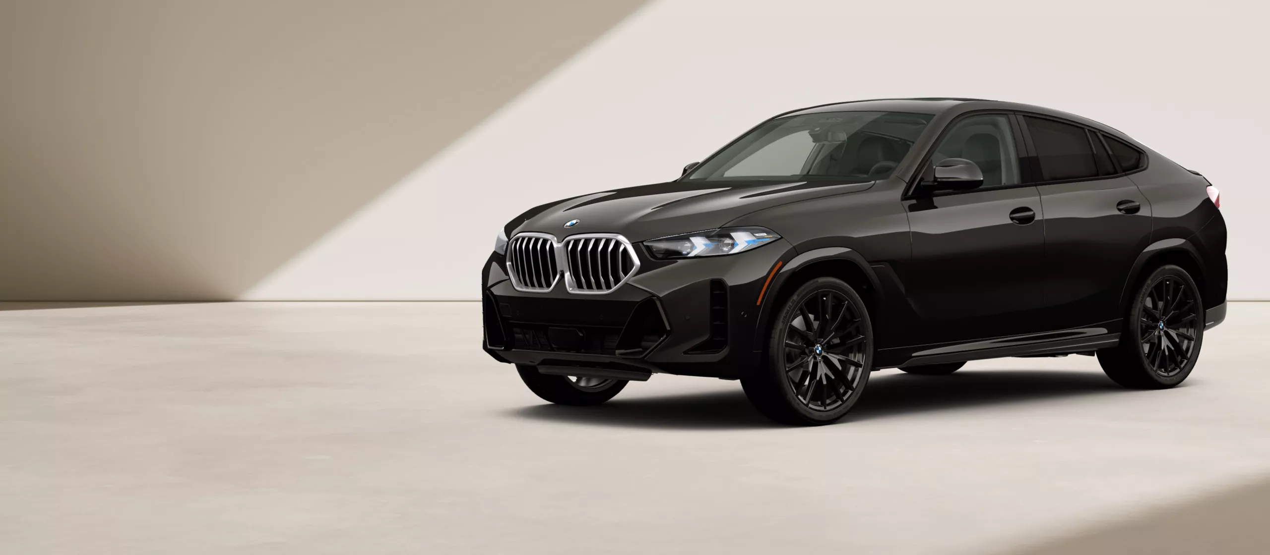 BMW X6 luxury crossover