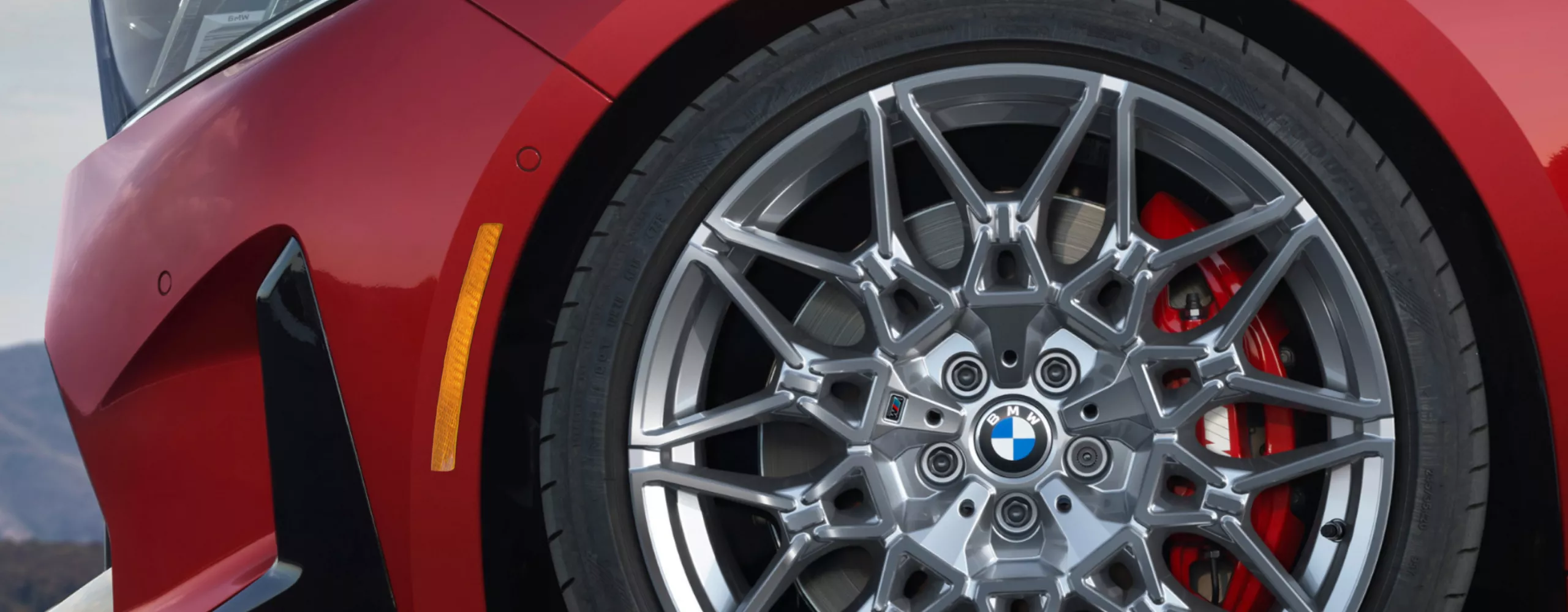 Detailed view of the front rim and the M Sport brake.