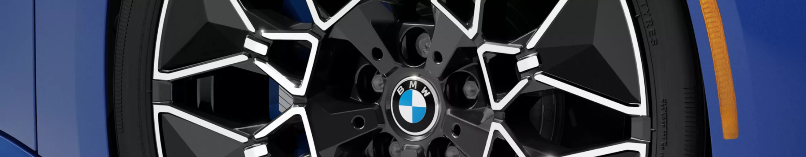 Close-up of front right light alloy rim.