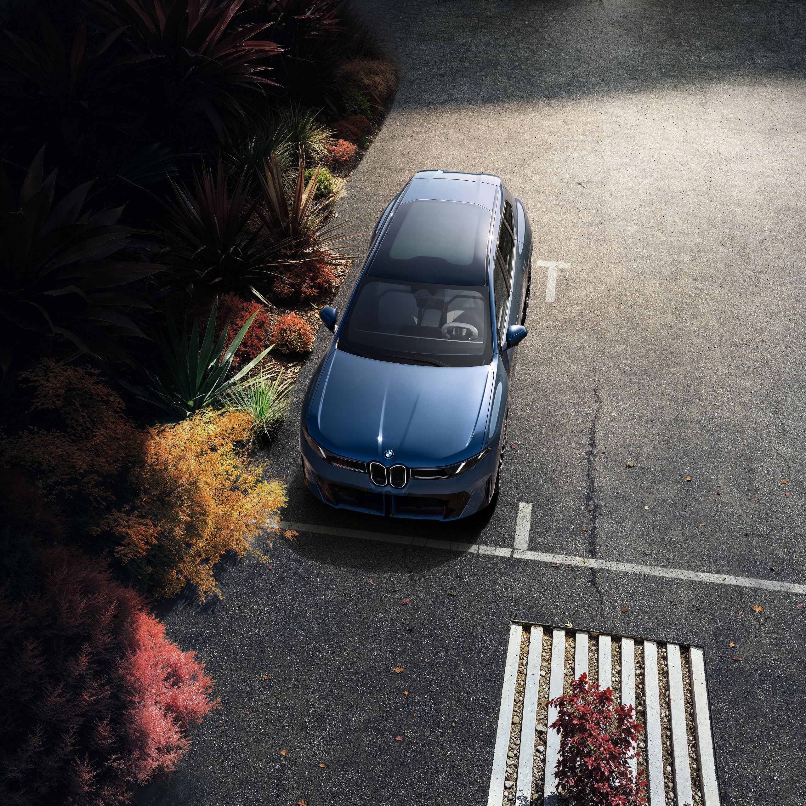 A BMW iX3 is parked in a designated parking zone at the curb, which is lined by plants