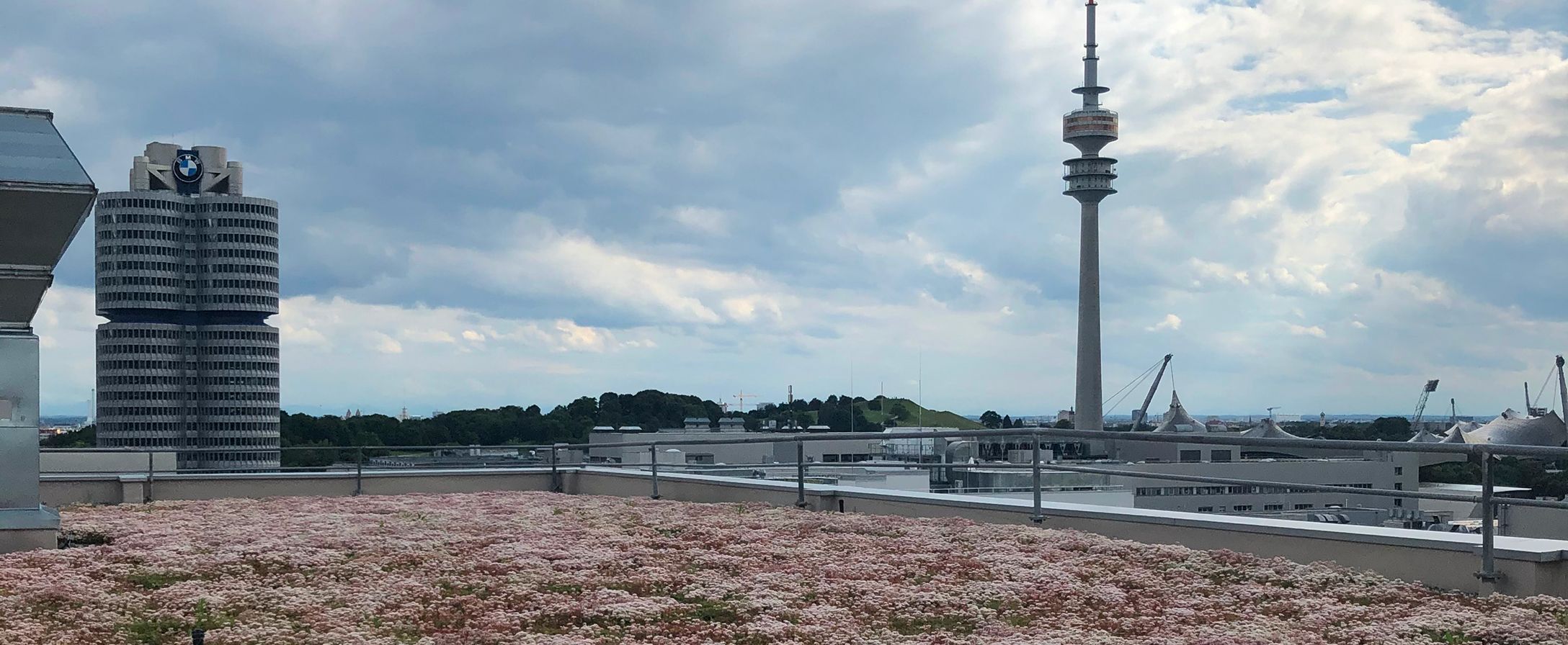 The exterior of the BMW flagship plant in Munich, Germany, focused on the roof that is covered largely with moss and grass.