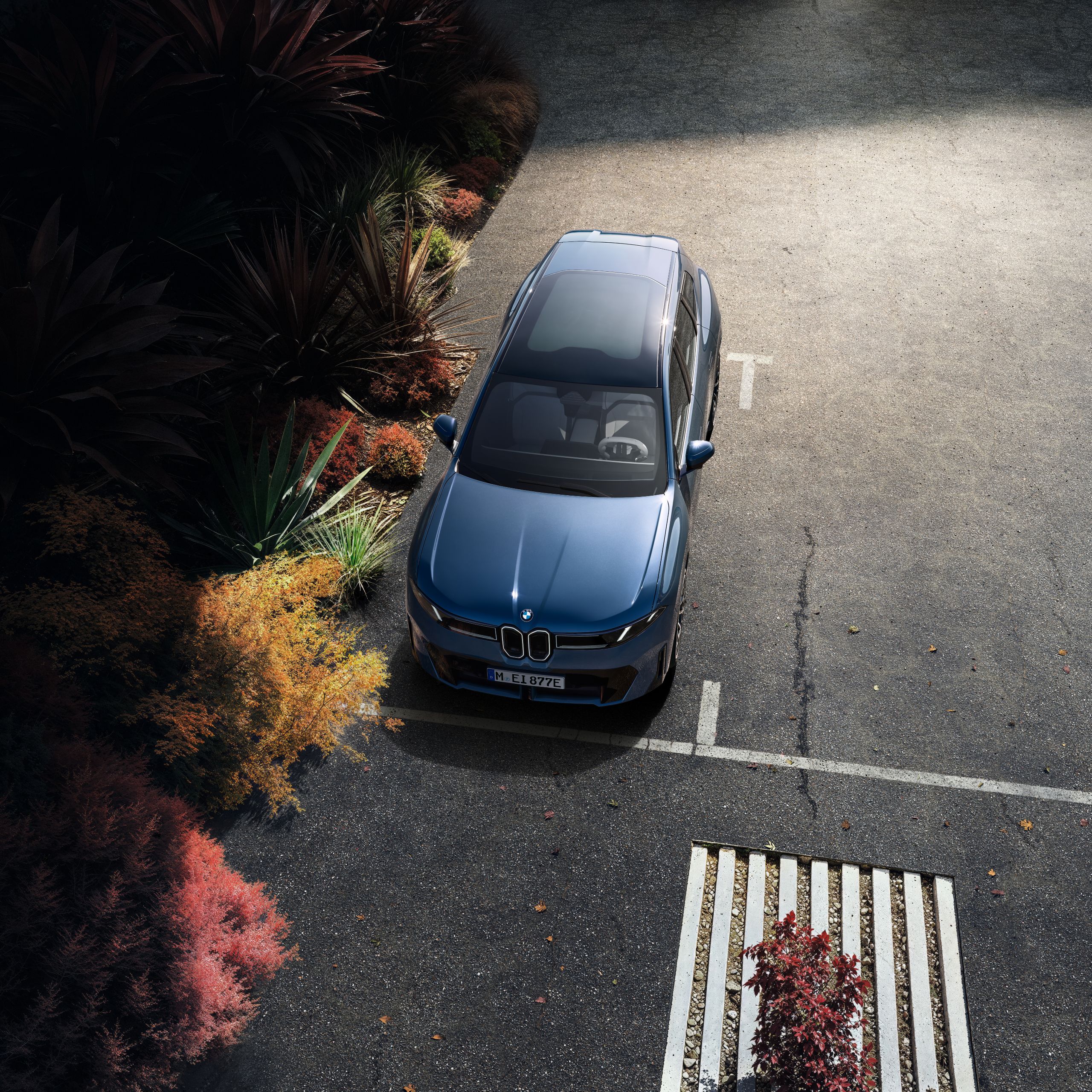 A BMW iX3 is parked in a designated parking zone at the curb, which is lined by plants