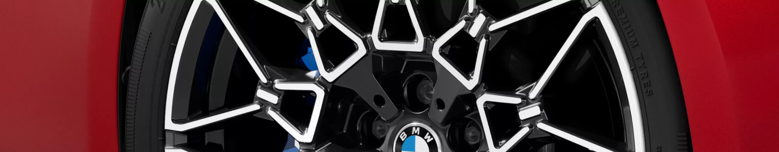 Close-up of front right light alloy rim.