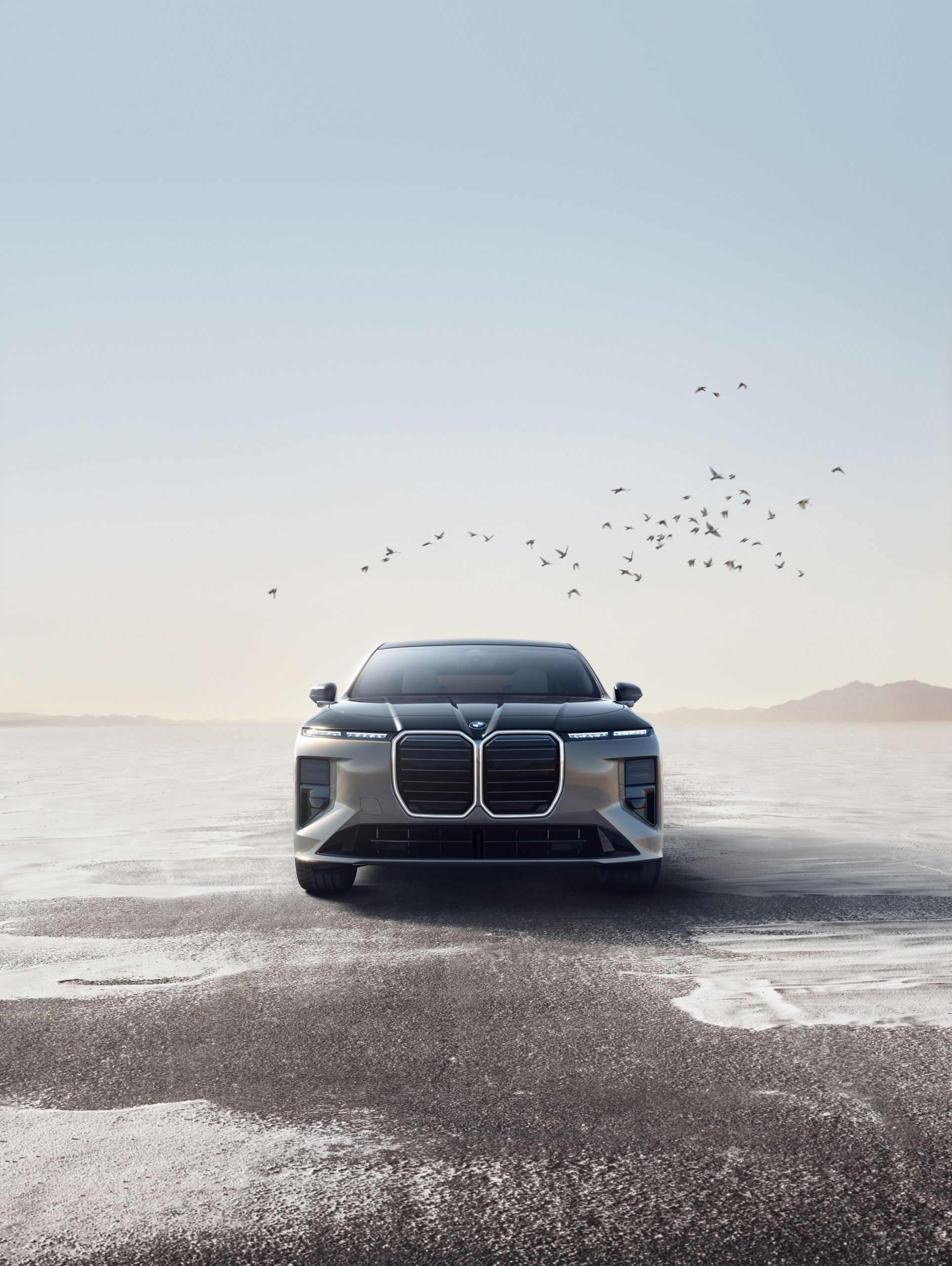 A BMW posed dramatically on a beach with seagulls flying overhead 