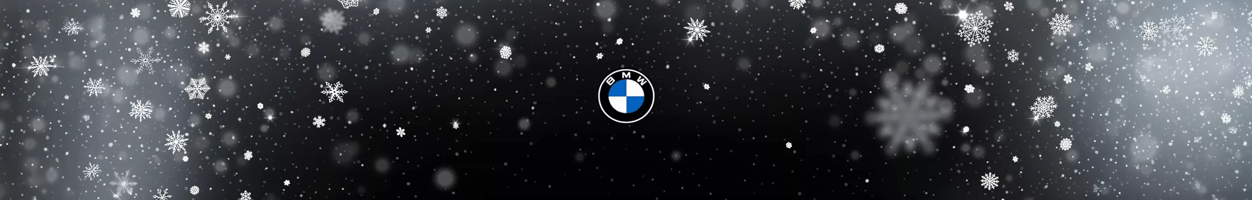 BMW Logo