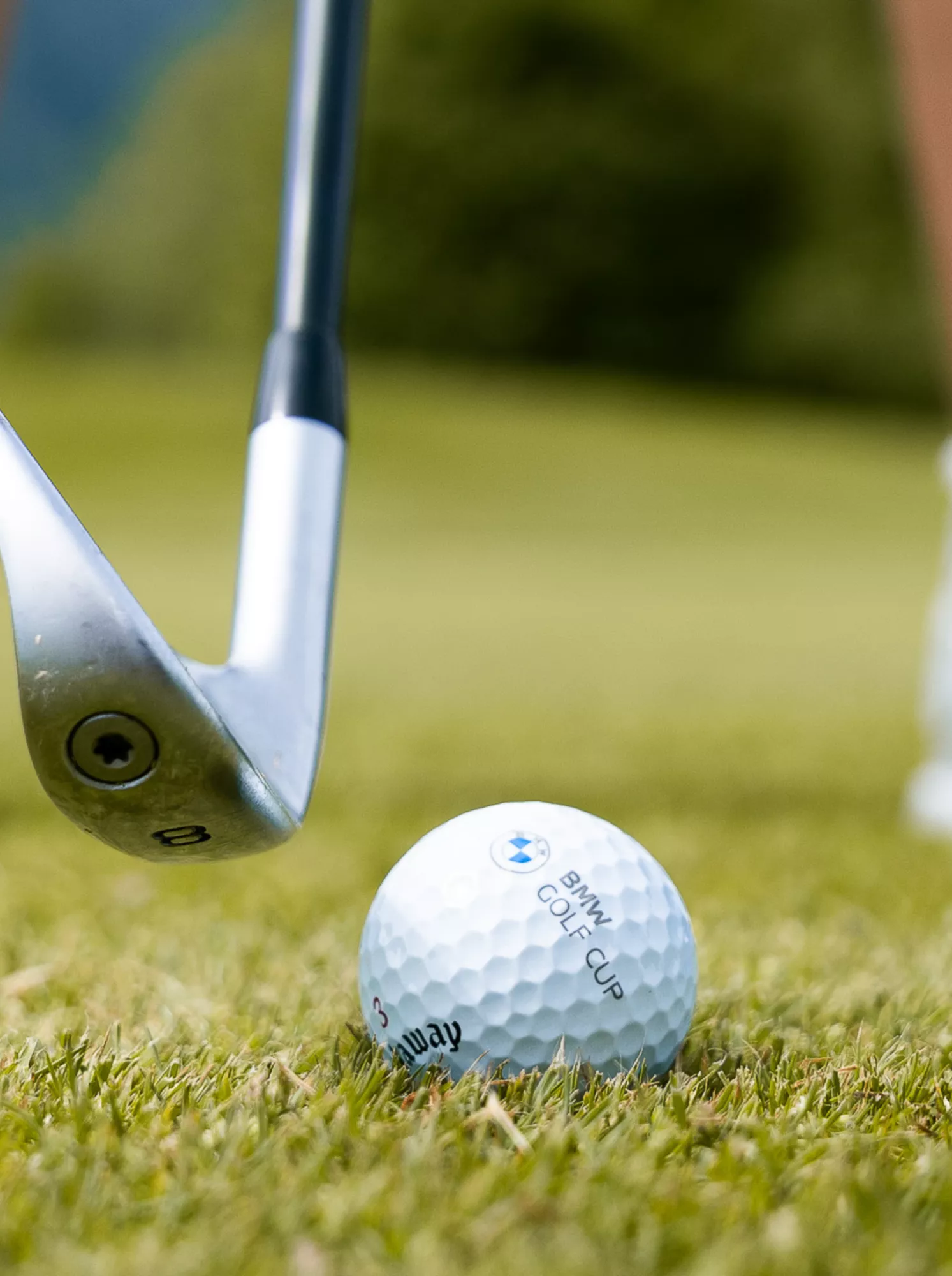 Golf2026