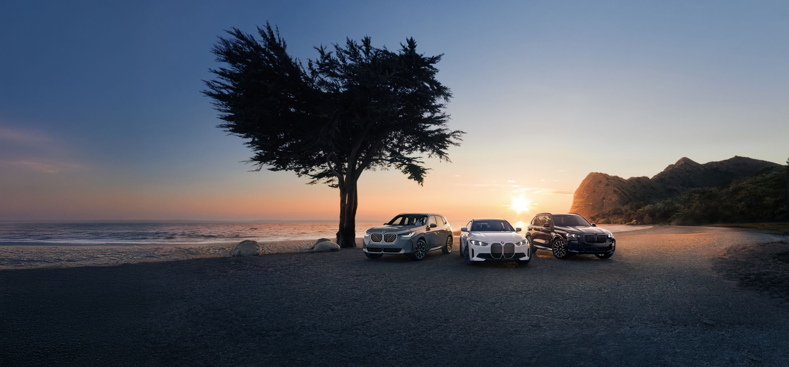 A 2025 BMW X3, 2025 BMW i4, and 2026 BMW X5 parked at a scenic beach under the shade of a large tree
