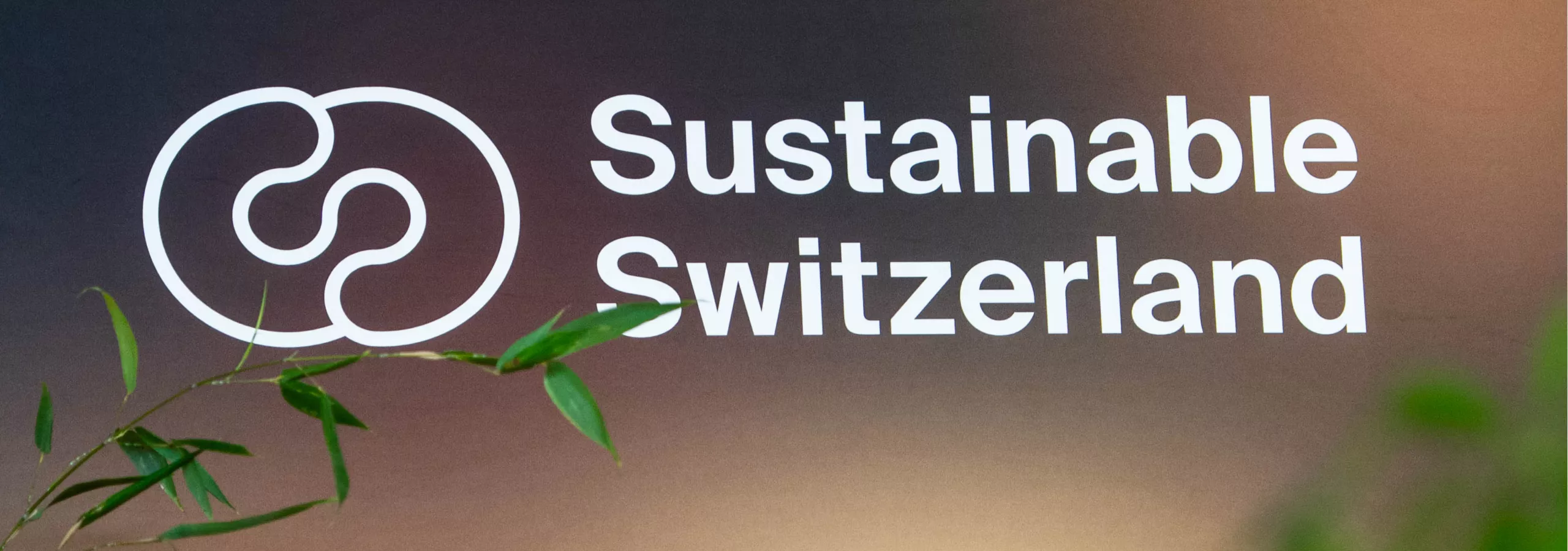 BMW Sustainable Switzerland Forum
