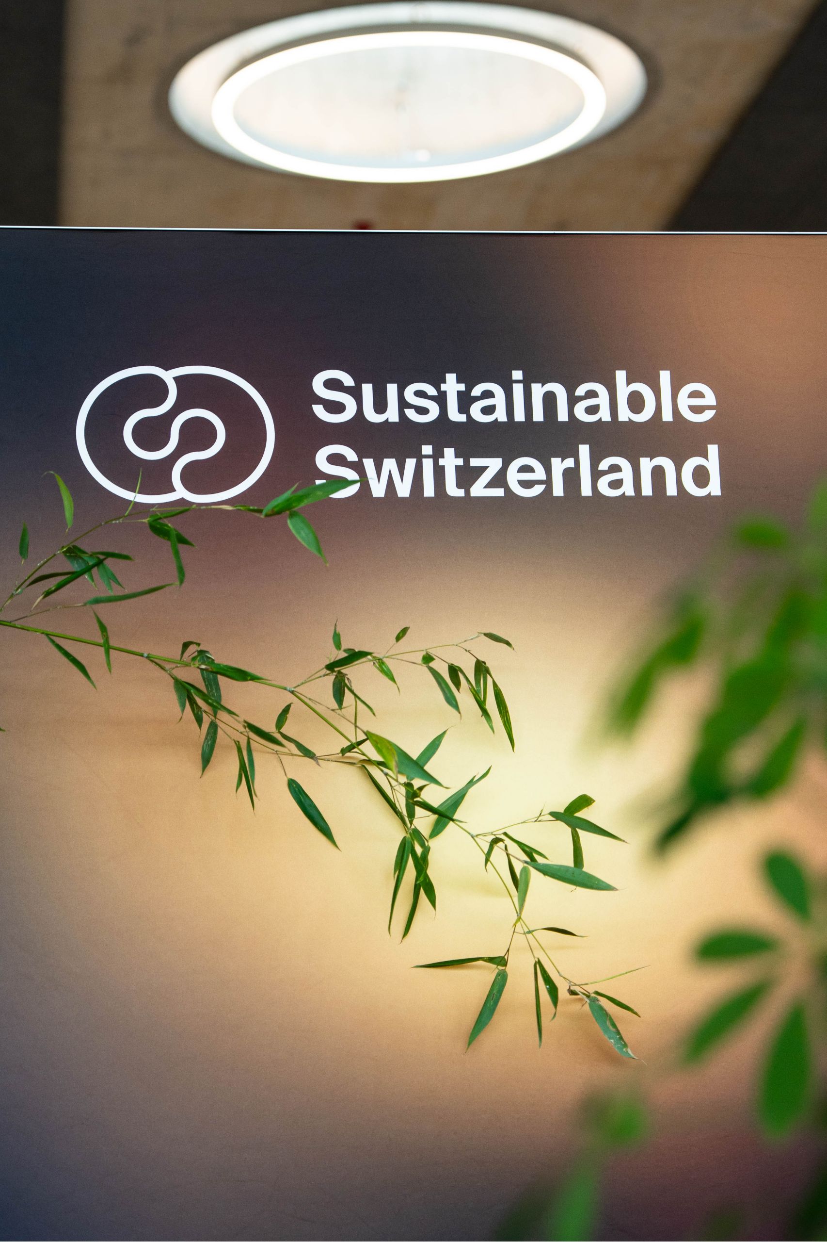 BMW Sustainable Switzerland Forum