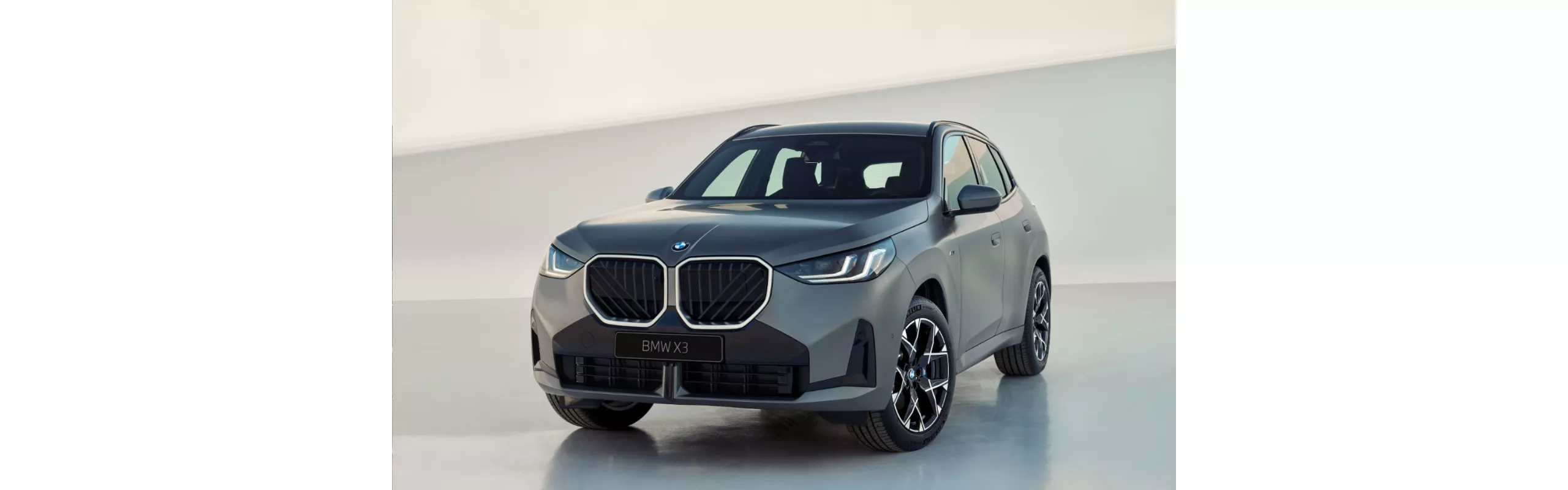 BMW iX2 xDrive30 nuo 49 999 Eur.