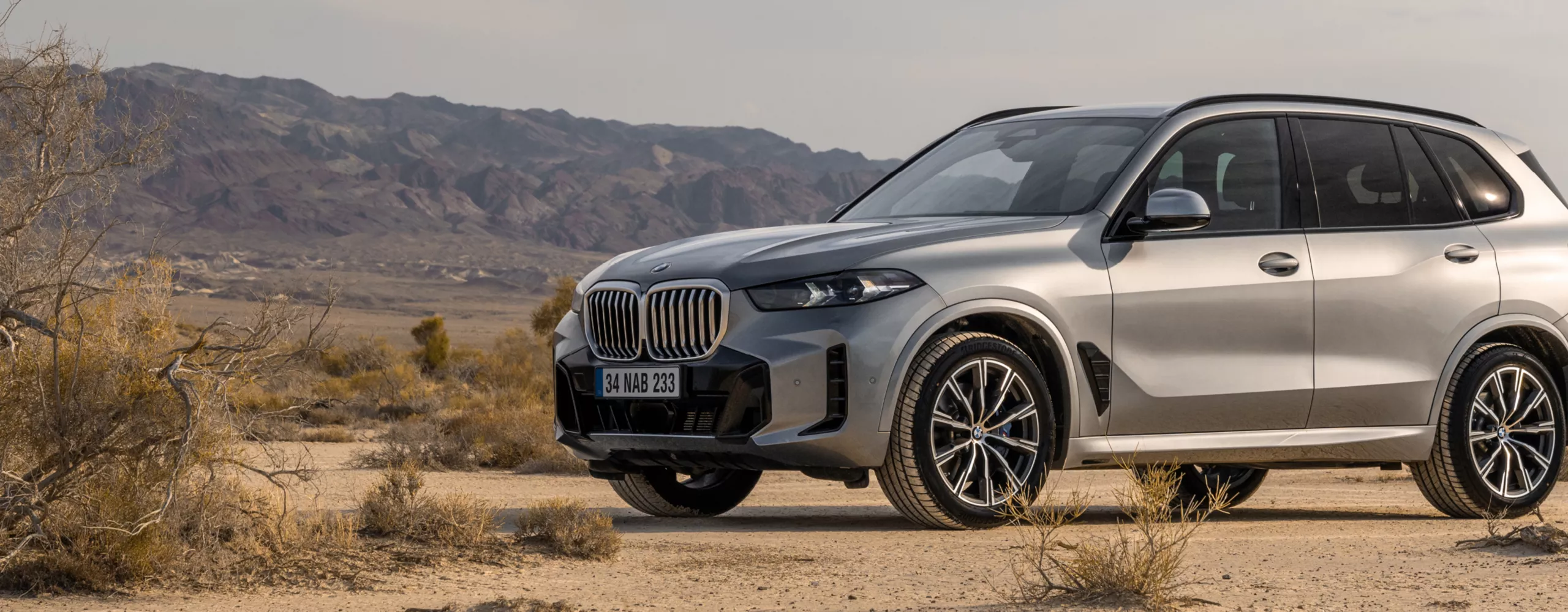 BMW X5 | BMW Türkiye