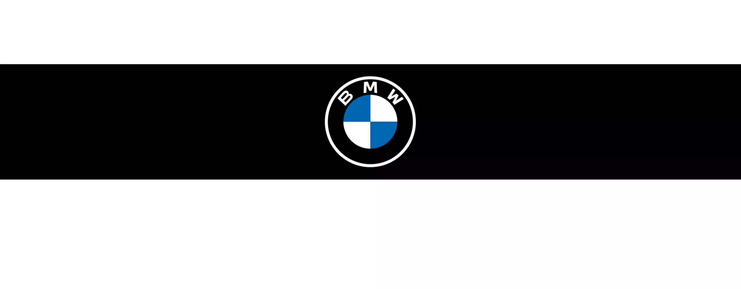 BMW Logo