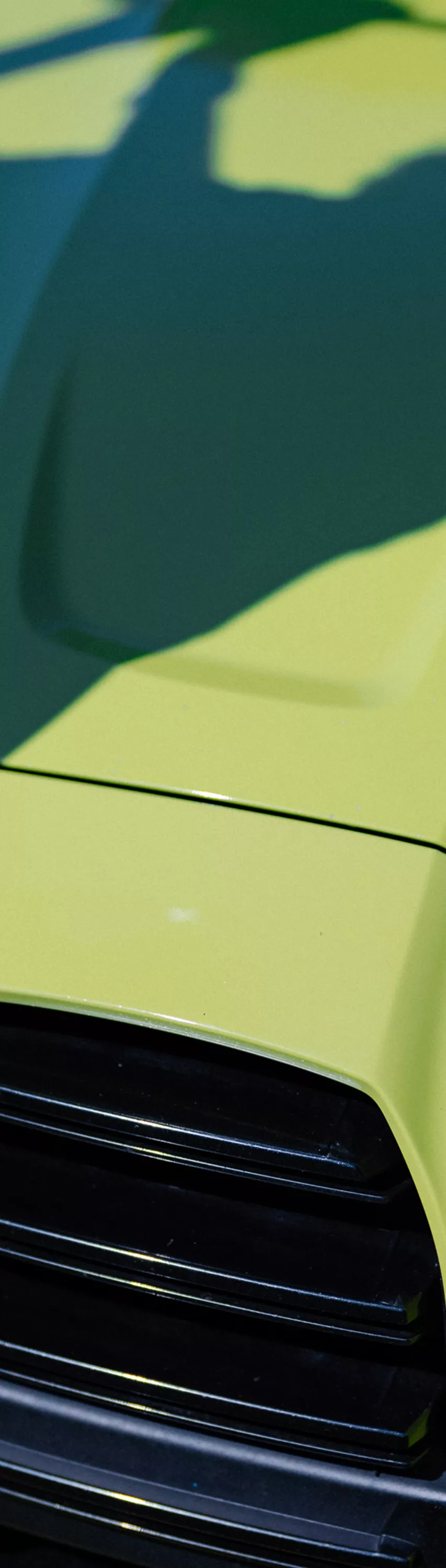 Close up of the hood and front grille on a lime green BMW
