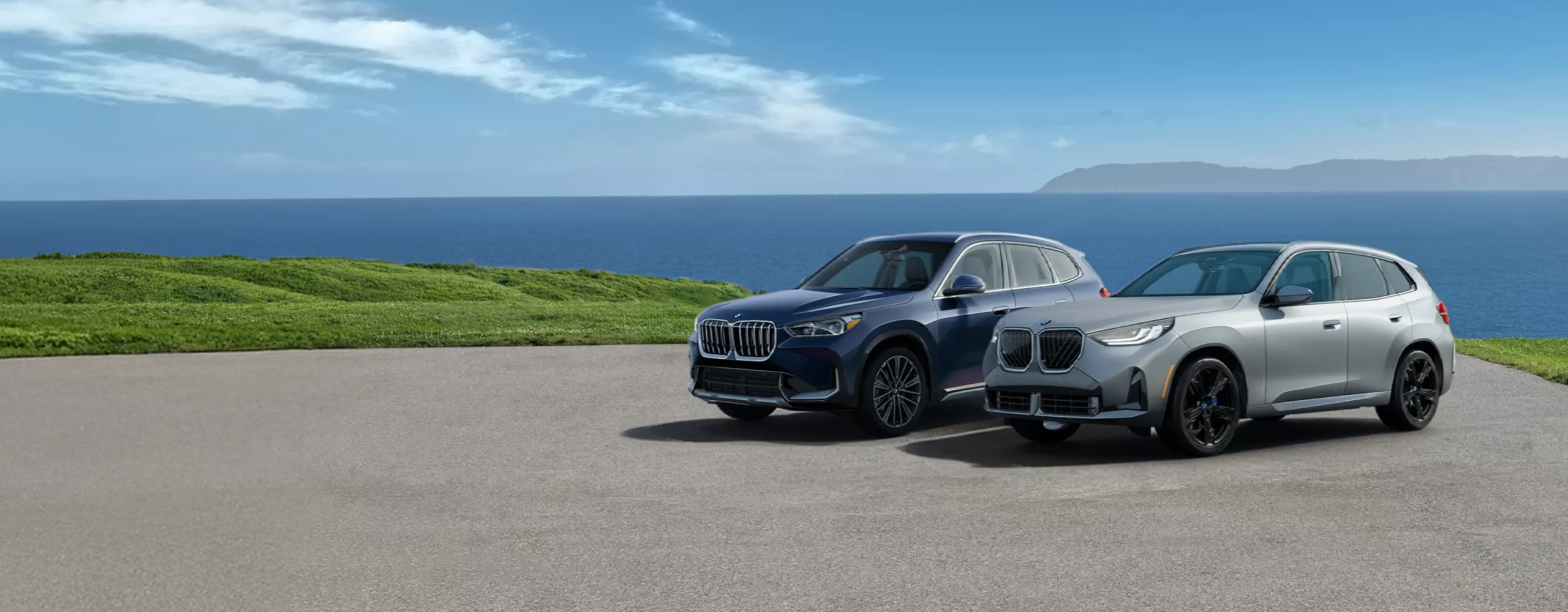The BMW X1 and X3