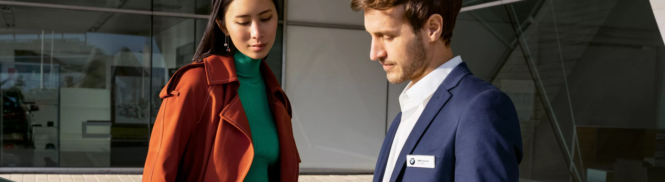 BMW Vehicle Support.